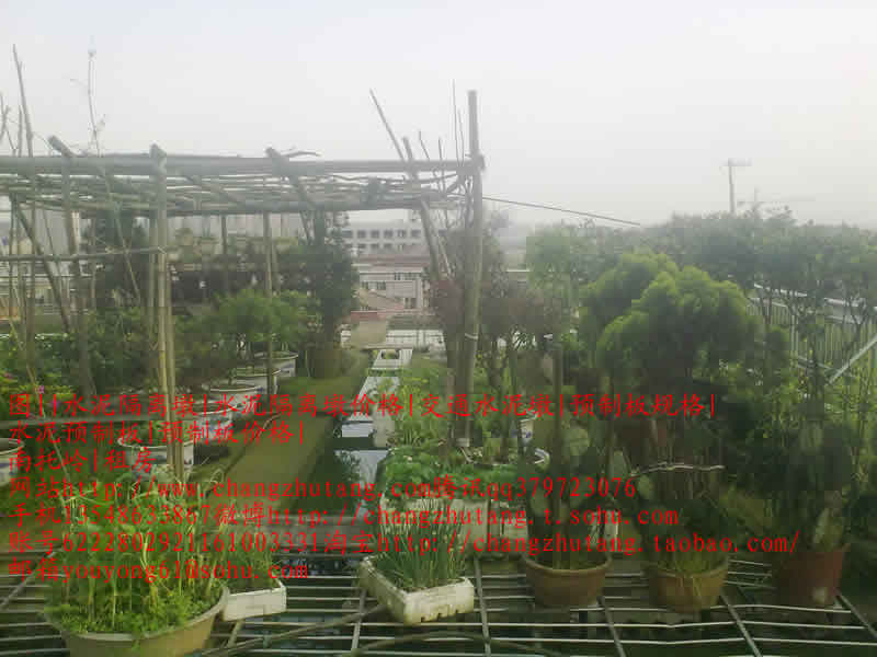 水泥隔离墩 水泥隔离墩价格 交通水泥墩 预制板规格 水泥预制板 预制板价格 南托岭 租房六楼花园1.jpg